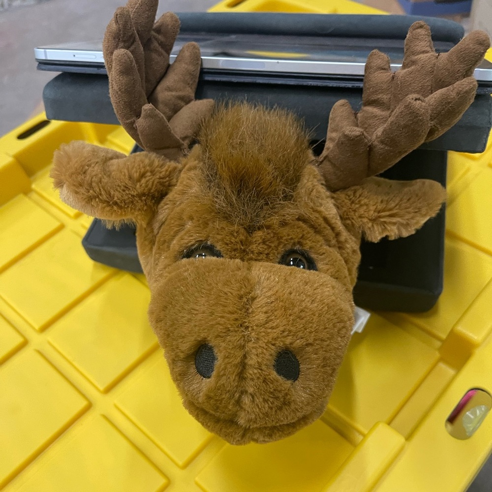 Moose head  plush